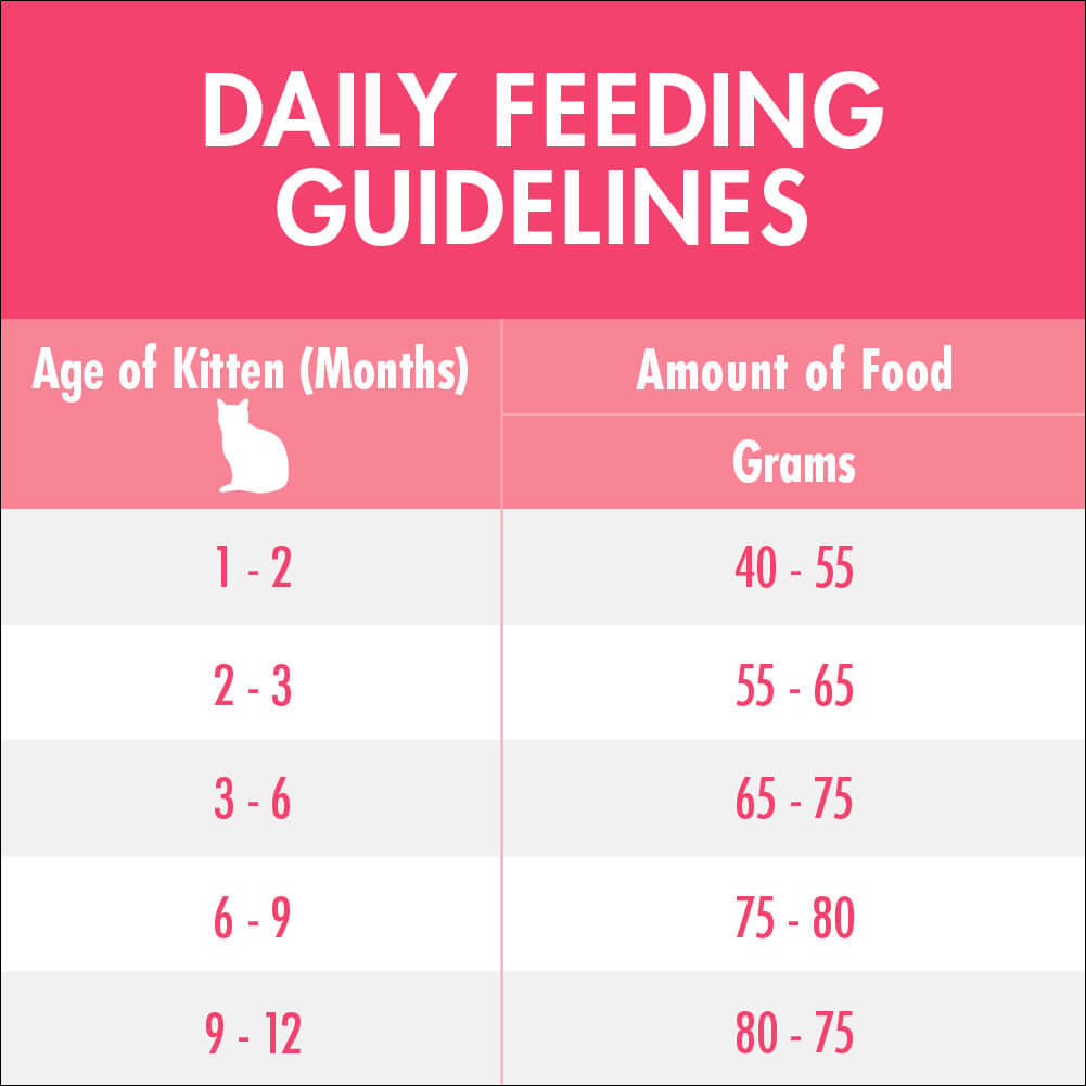 Purina One Kitten Chicken Dry Cat Food 1.4Kg