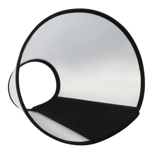 Lexi & Me Plastic Dog Cone Elizabethan Collar