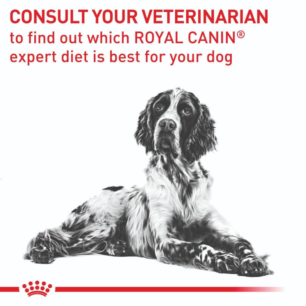 Royal Canin Expert Adult Medium Breed Neutered Dry Dog Food