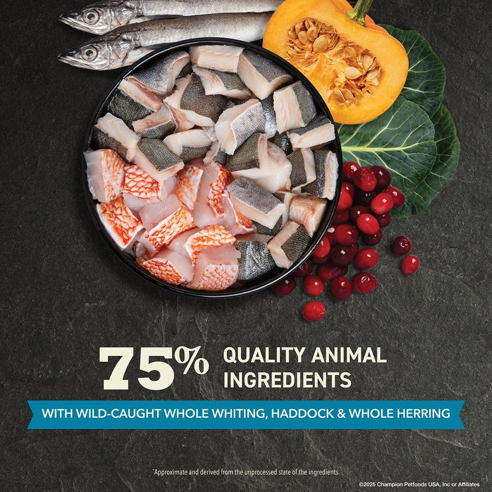 Acana Wild Atlantic Dry Cat Food