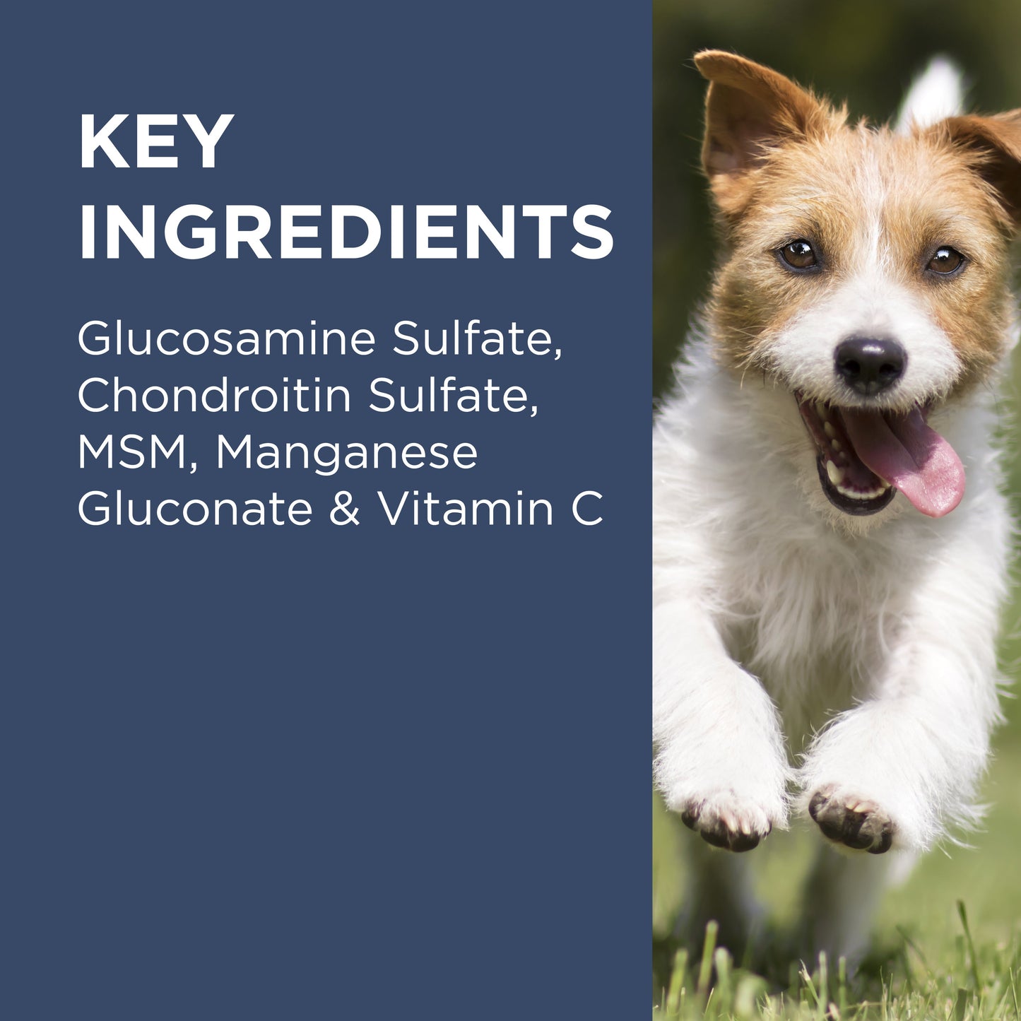 PAW Osteocare Chews Small Dogs