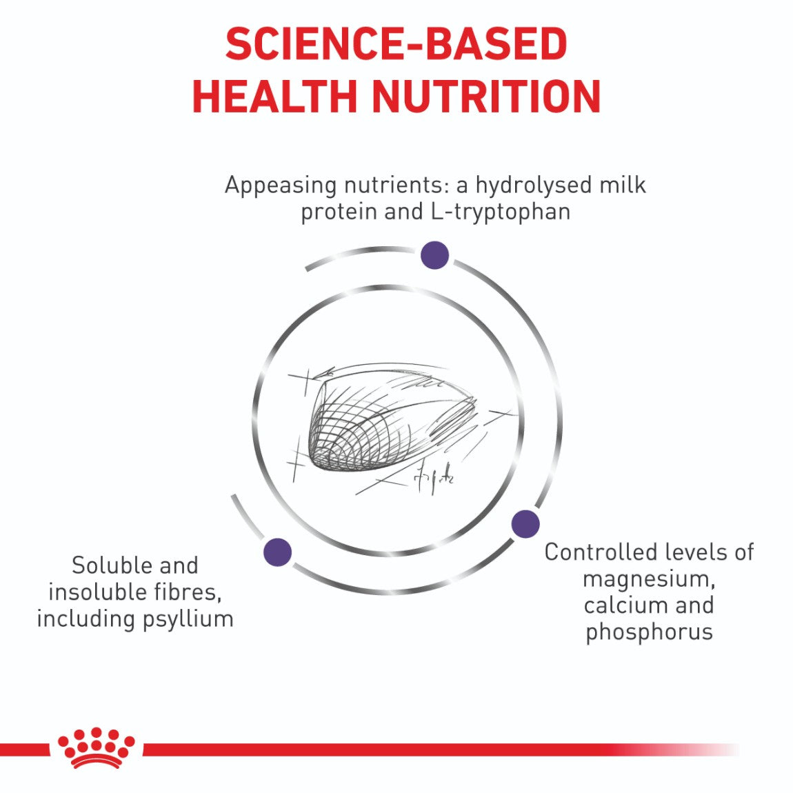 Royal Canin Expert Calm Dry Cat Food