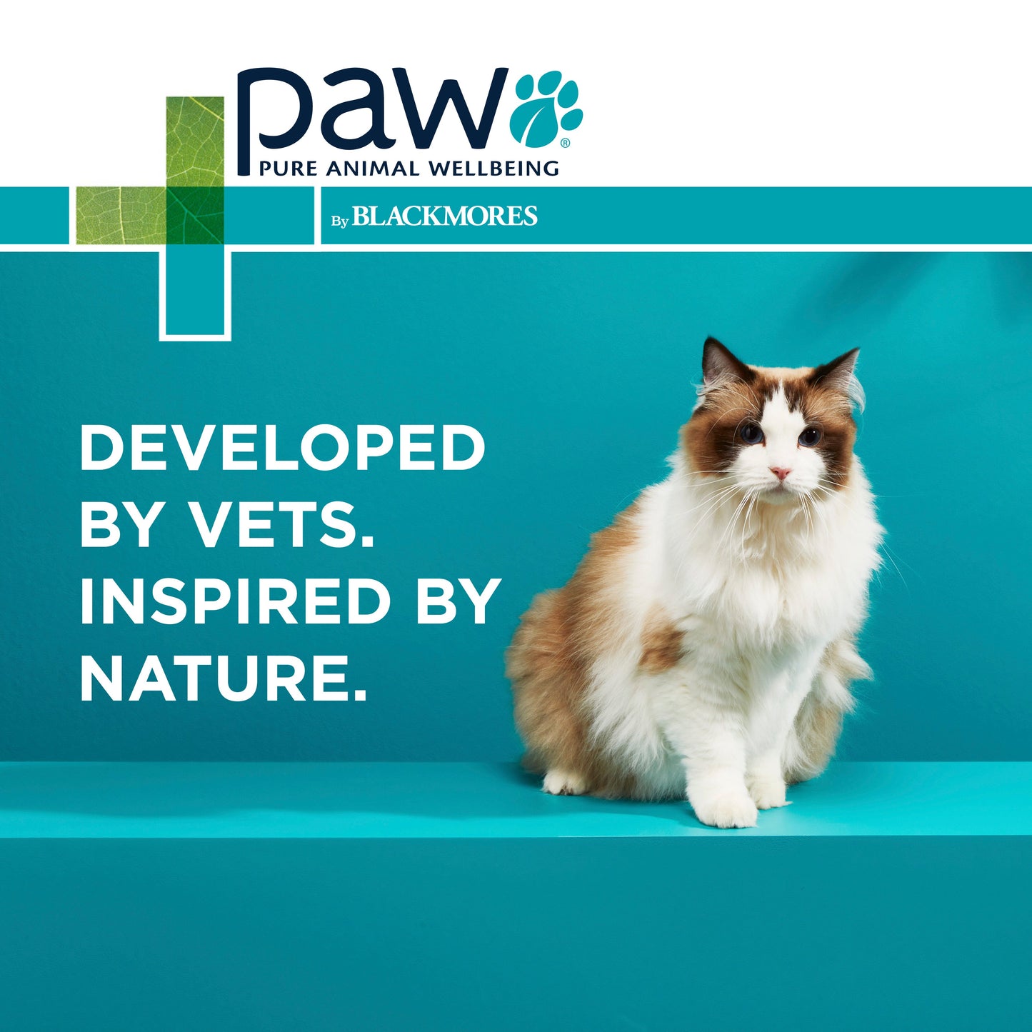 PAW Complete Calm Chews For Cats