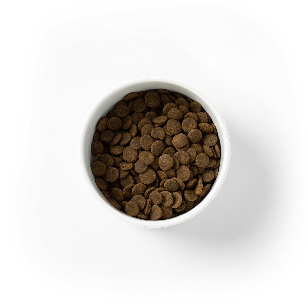 Savourlife Grain Free Adult CP Sensitive Ocean Fish Dry Dog Food