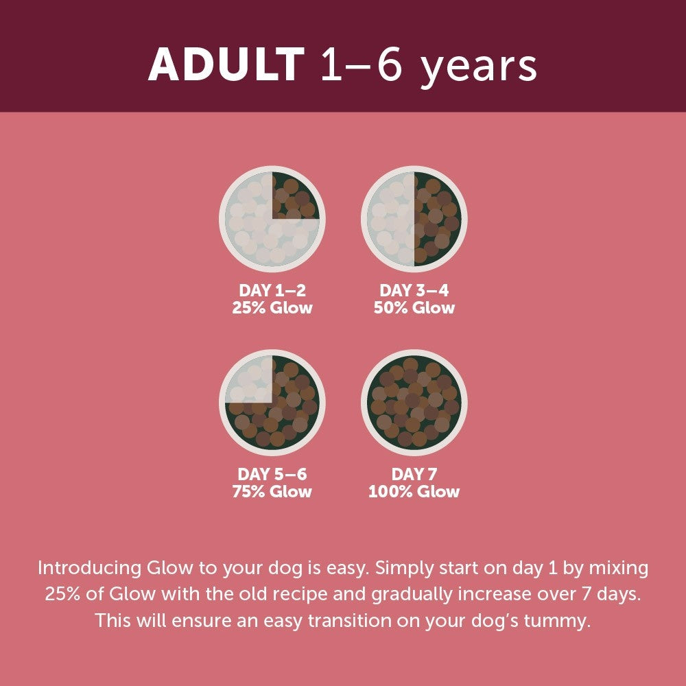 Glow Adult Australian Lamb Dry Dog Food