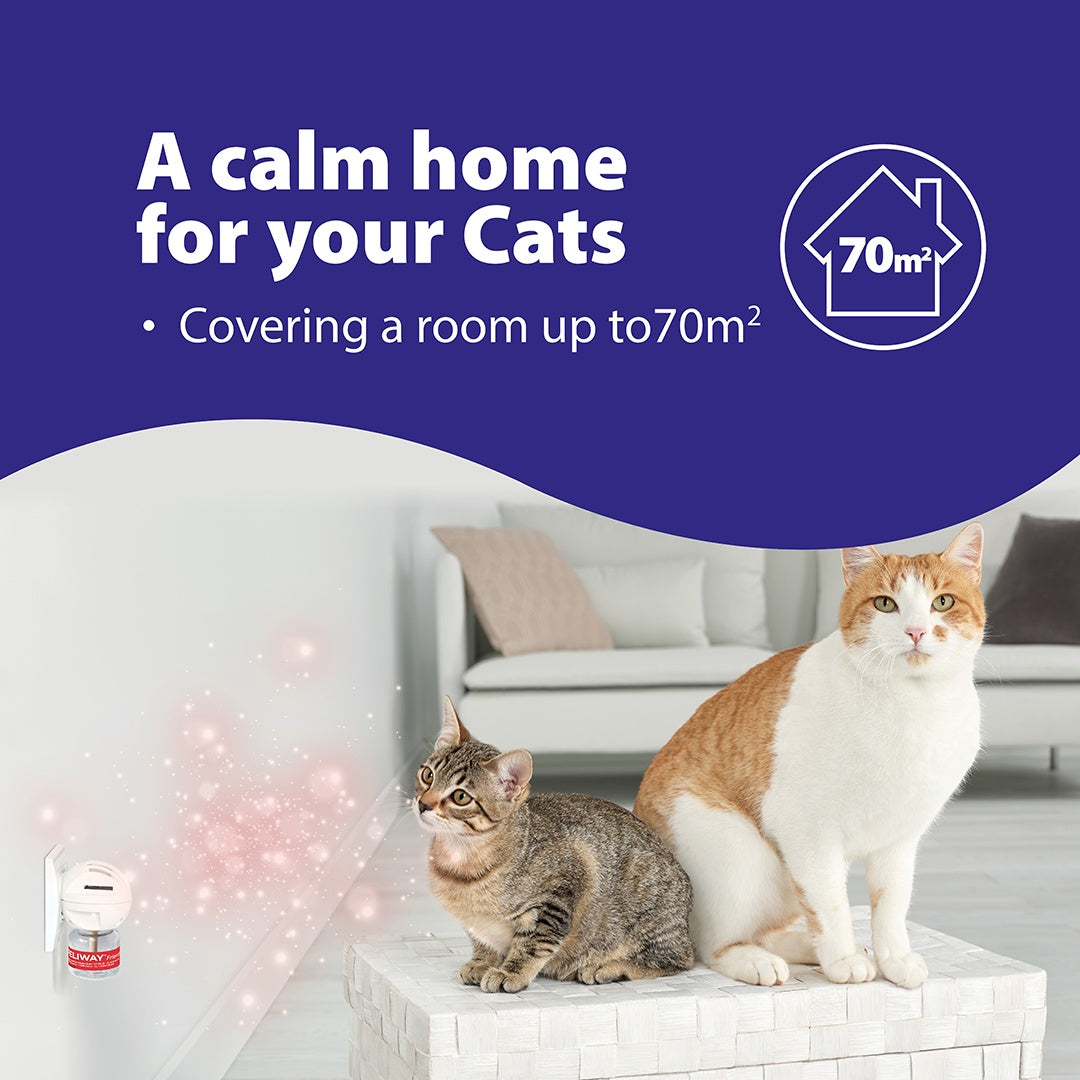 Feliway Friends Diffuser & Refill