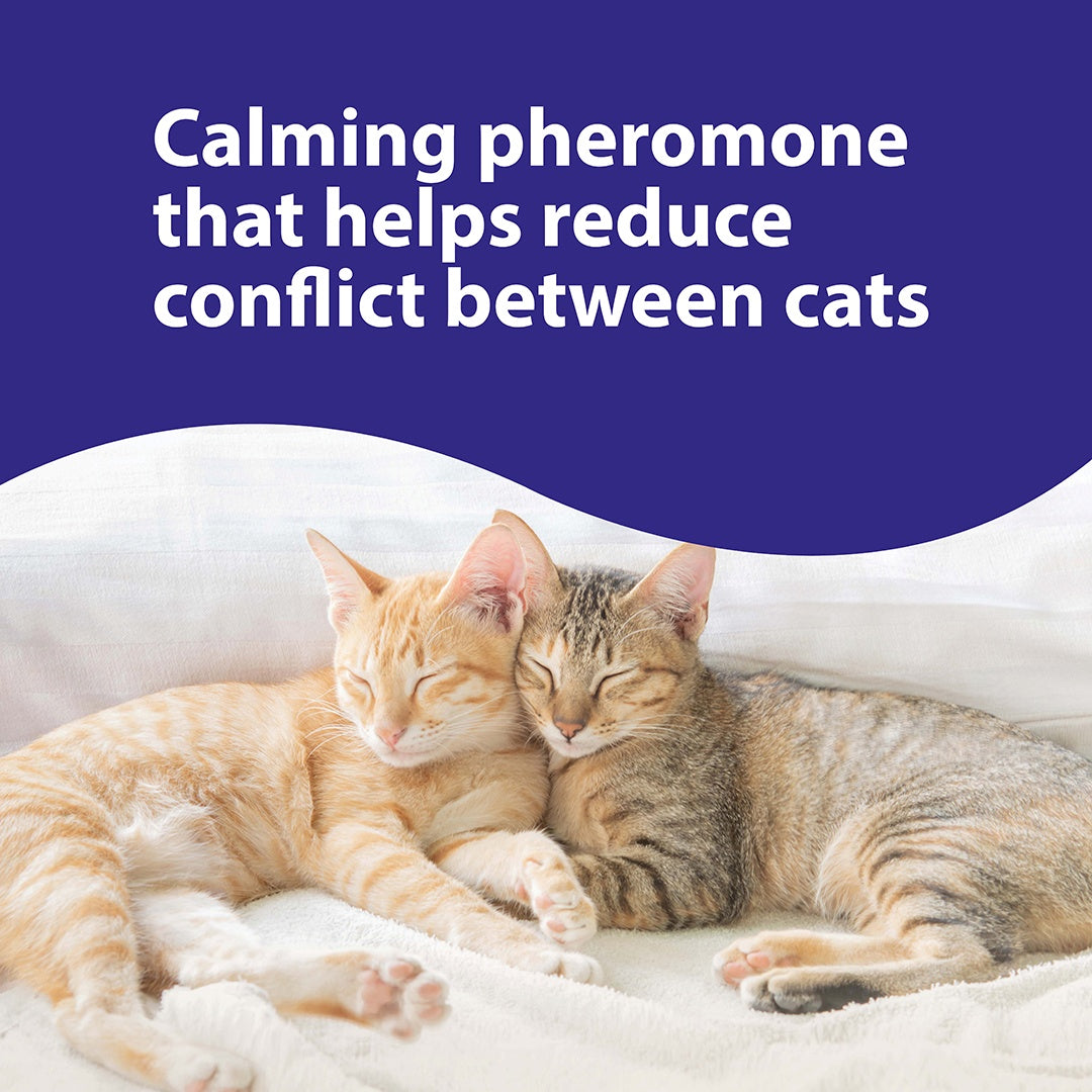 Feliway Friends Diffuser & Refill