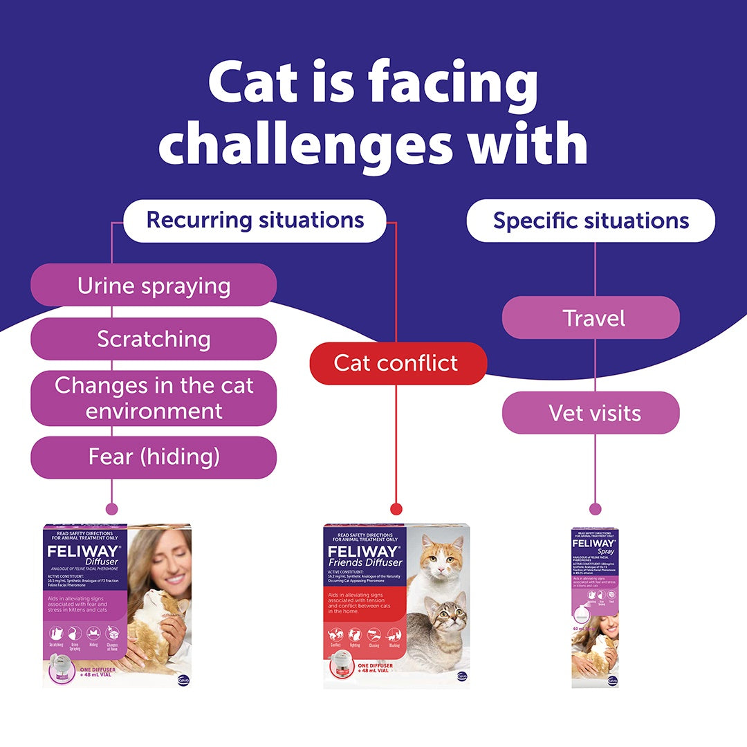 Feliway Friends Diffuser & Refill