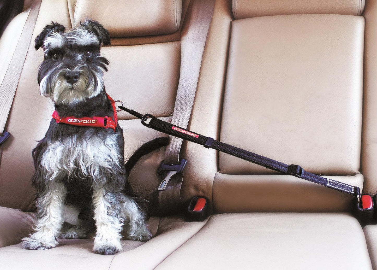 EzyDog Click Zero Shock Car Restraint Black