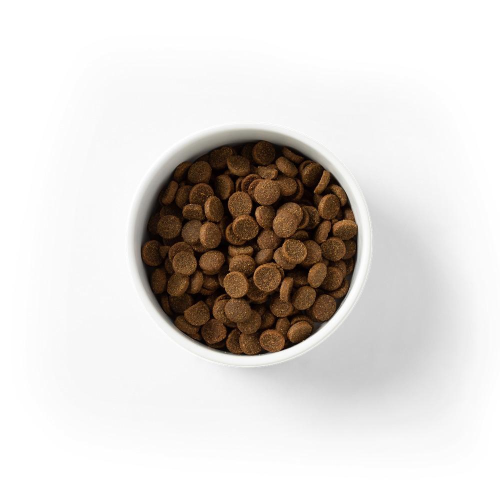Savourlife Essentials Adult Dog Food Australian Beef