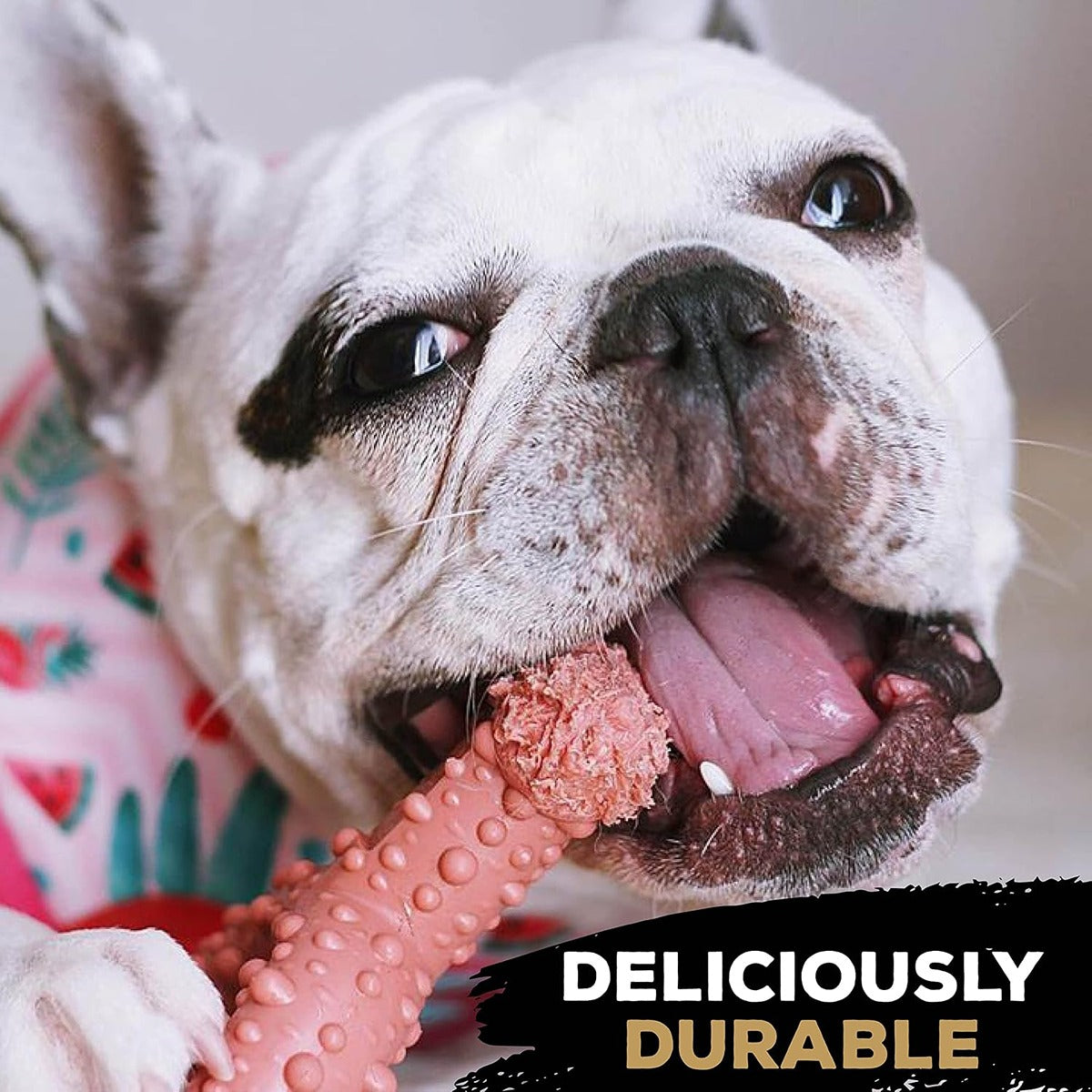 Tasty Bone Chicken Nylon Trio Dog Chew Toy