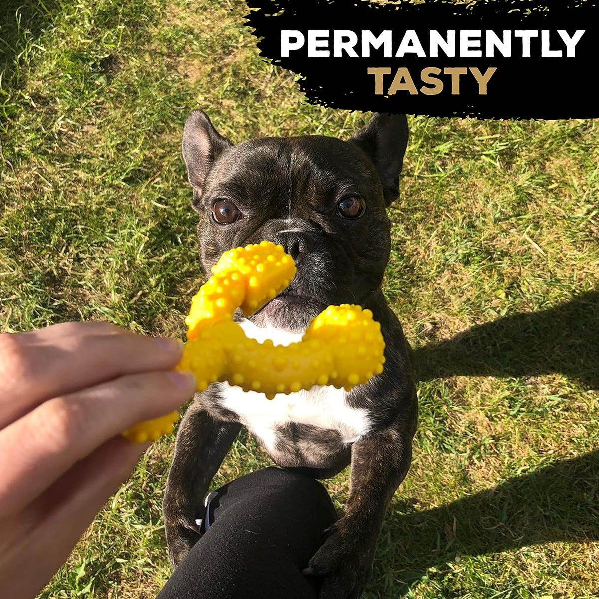Tasty Bone Chicken Nylon Trio Dog Chew Toy