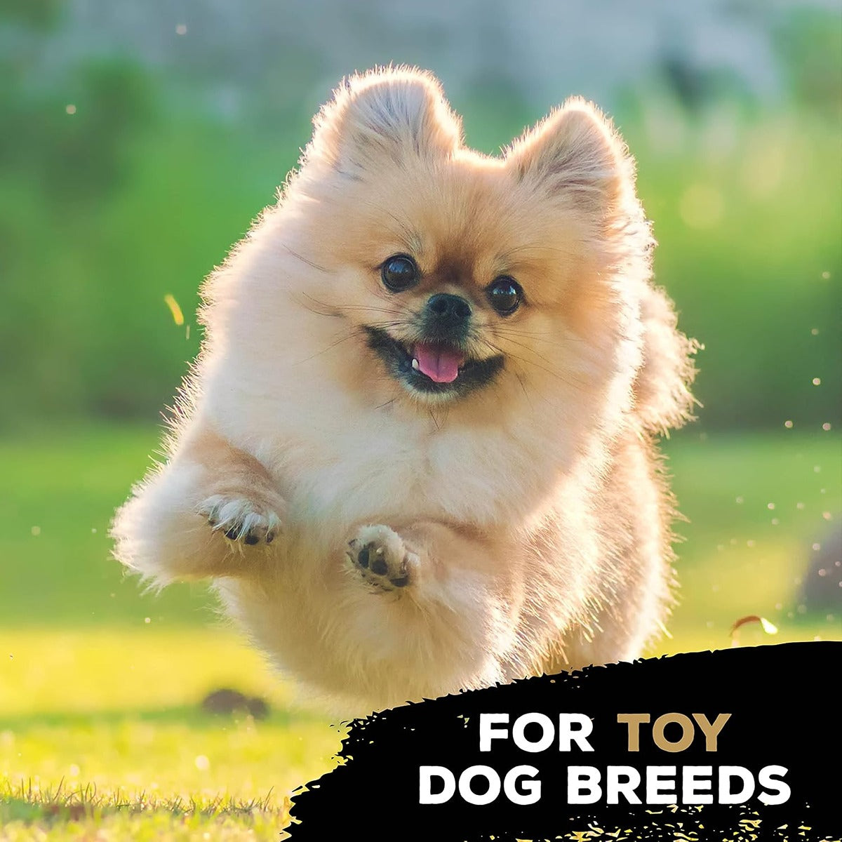 Tasty Bone Chicken Nylon Trio Dog Chew Toy