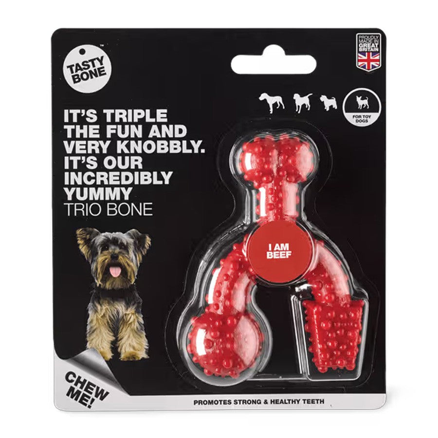 Tasty Bone Nylon Trio Beef Dog Toy