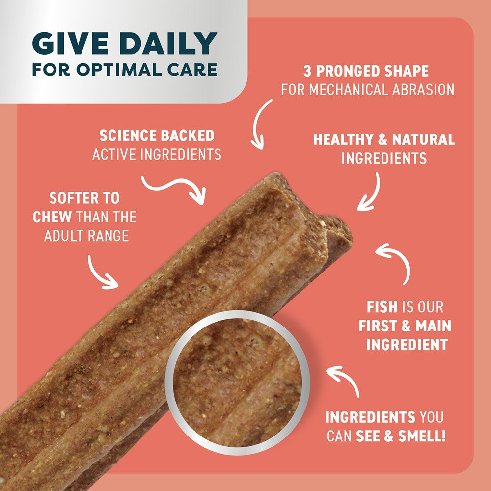 Bell & Bone Small Puppy Salmon Dental Chews 7pk