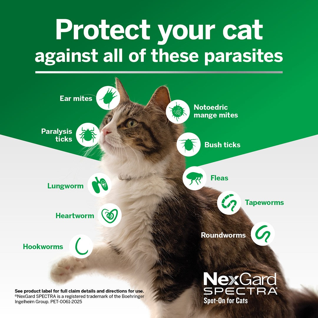 NexGard Spectra Spot-On for Cats & Kittens 0.8-2.4kg