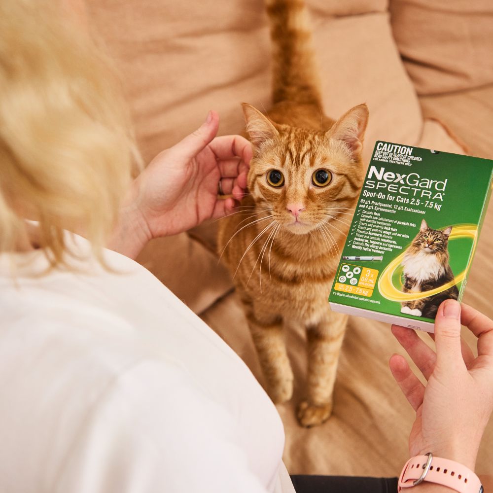 NexGard Spectra Spot-On for Cats 2.5-7.5 kg