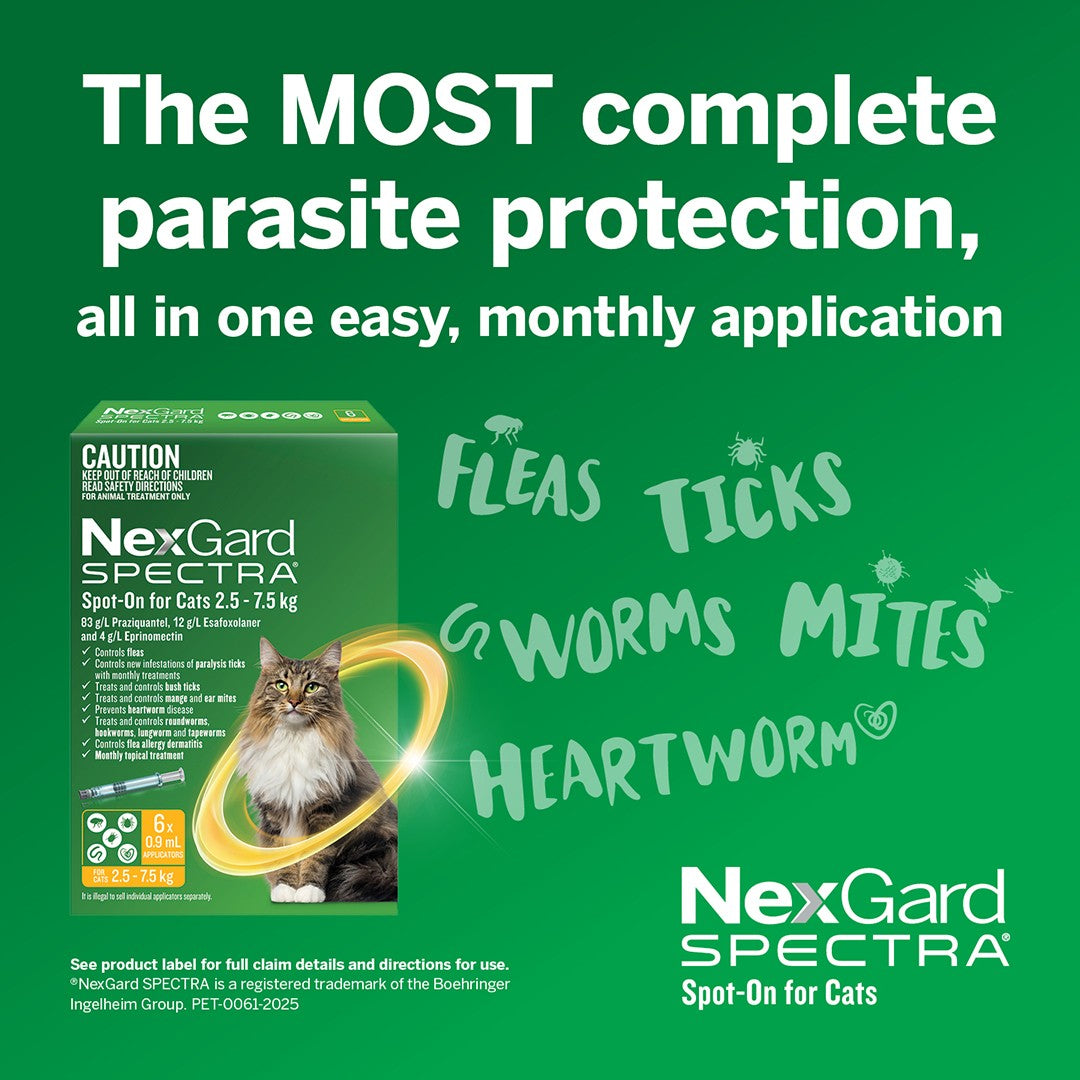 NexGard Spectra Spot-On for Cats 2.5-7.5 kg