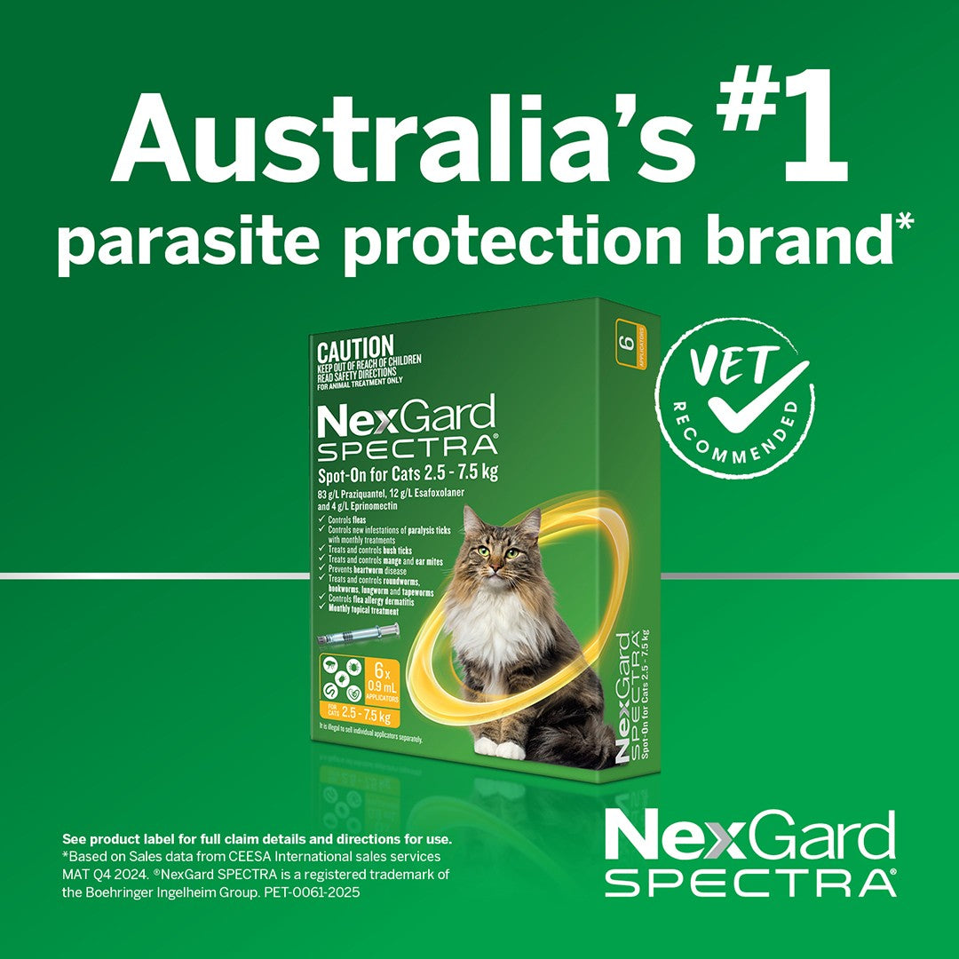 NexGard Spectra Spot-On for Cats 2.5-7.5 kg