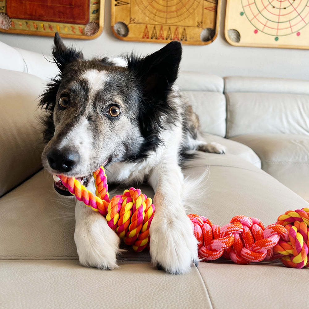Kong Rope Bunji Dog Toy