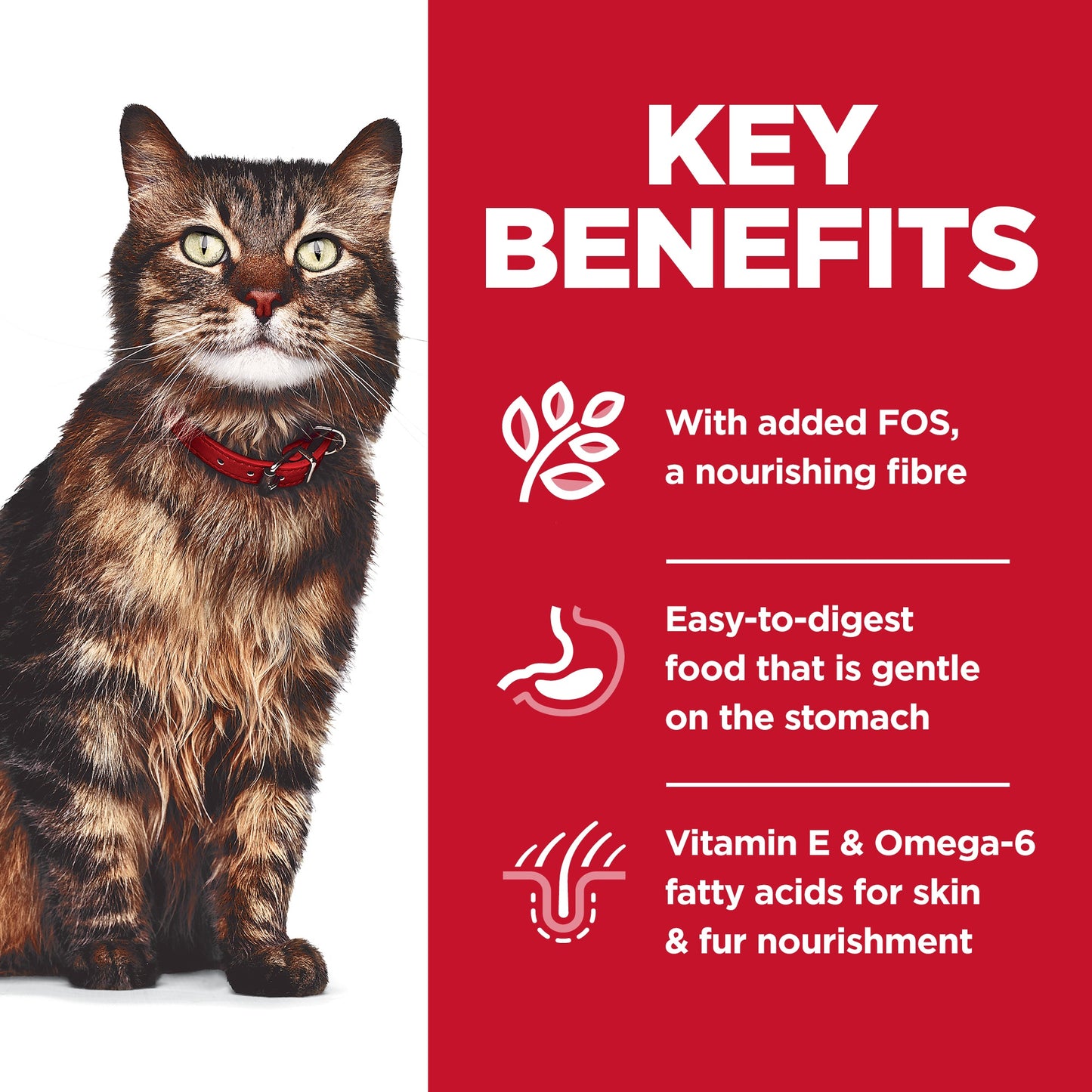 Hill's Science Diet Adult Sensitive Skin & Stomach Variety Pack Cat Food Pouches 12x80g