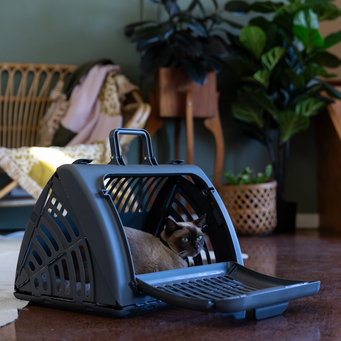 Lexi & Me Collapsible Cat Carrier with Mat Charcoal
