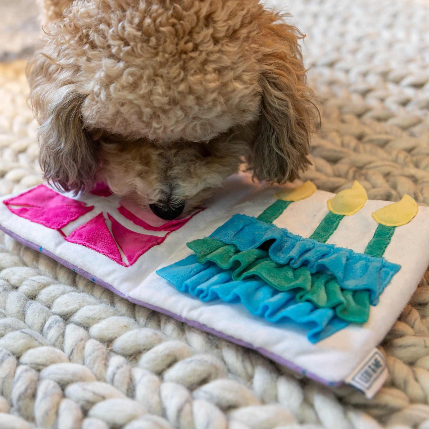 Lexi & Me Snuffle Card Birthday Dog Toy