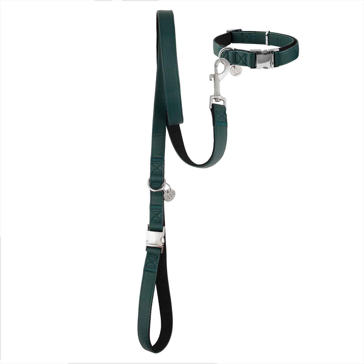 Buddy & Belle Dog Collar