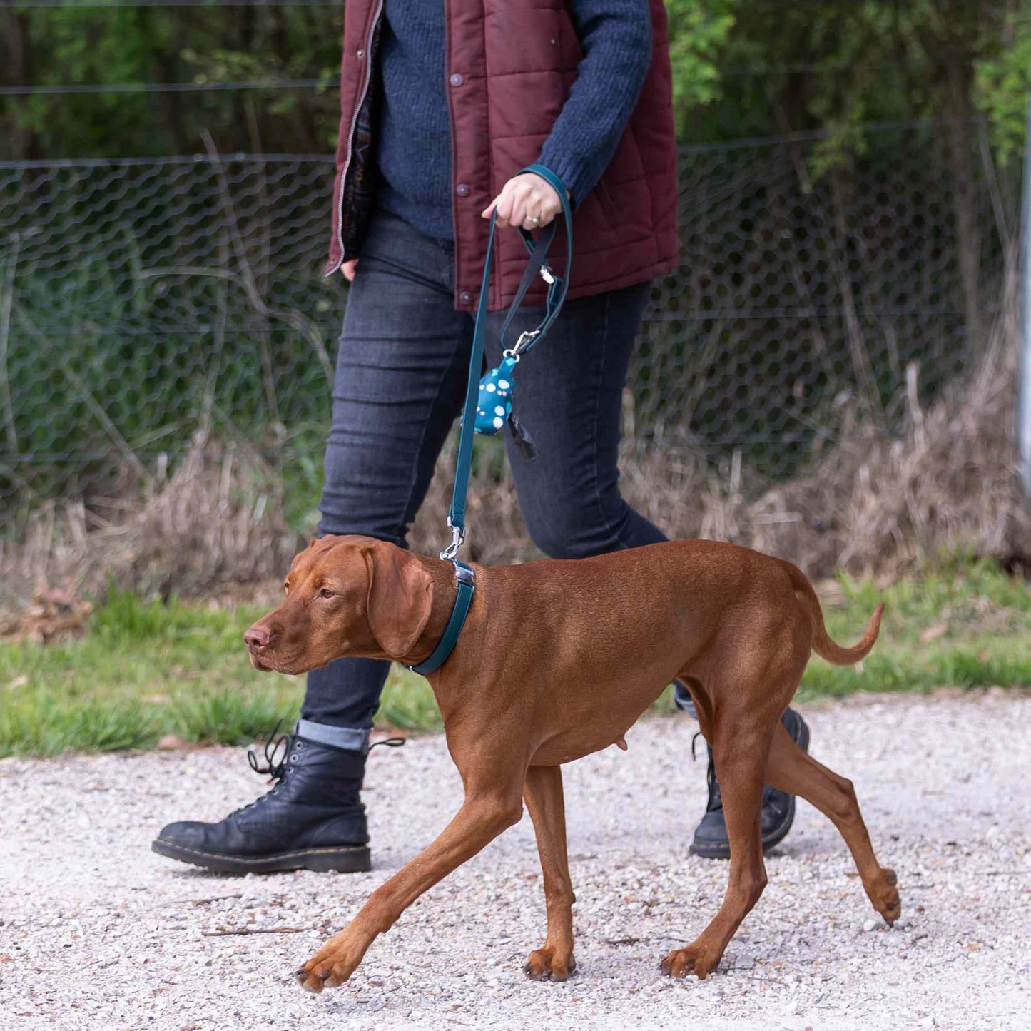 Buddy & Belle Dog Lead