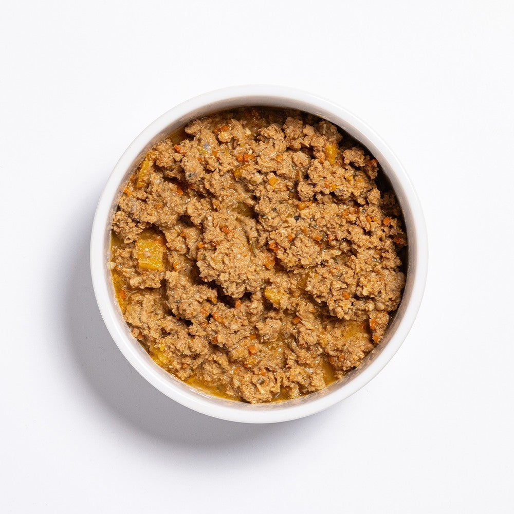 Prime100 SPD Slow Cooked Salmon & Pumpkin Wet Dog Food