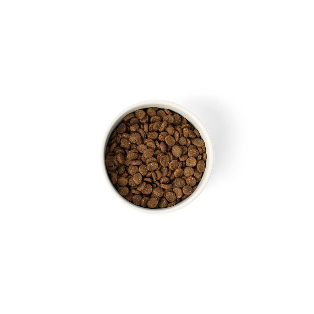 Savourlife Essentials Adult Dog Food Ocean Fish