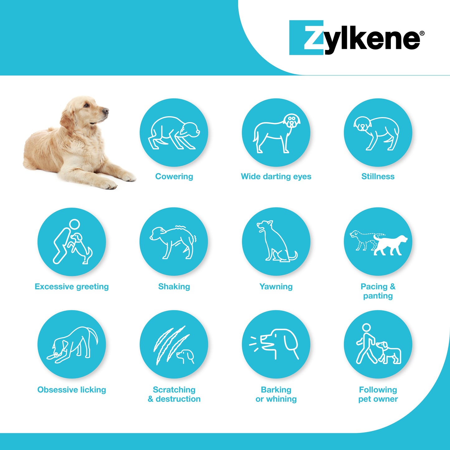 Zylkene Capsules 225mg For Dogs 10-30kg 30pk