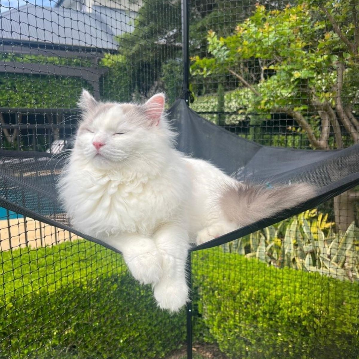 Catnets Peak Cat Enclosure 2.3m x 1.2m x 1.2m