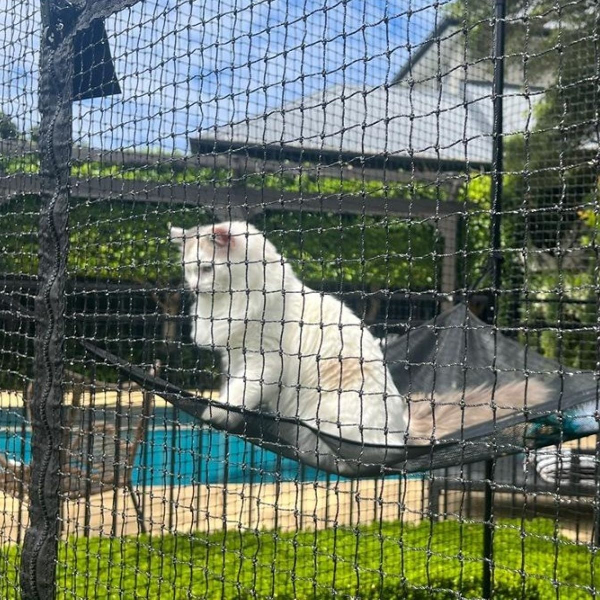 Catnets Fortress Cat Enclosure 1.7m x 1.7m x 2.5m