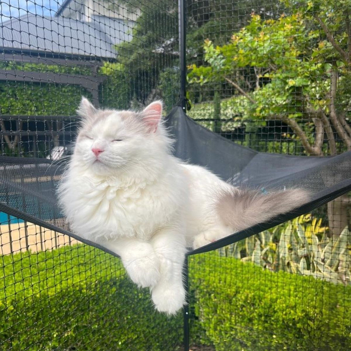 Catnets Fortress Cat Enclosure 1.7m x 1.7m x 2.5m