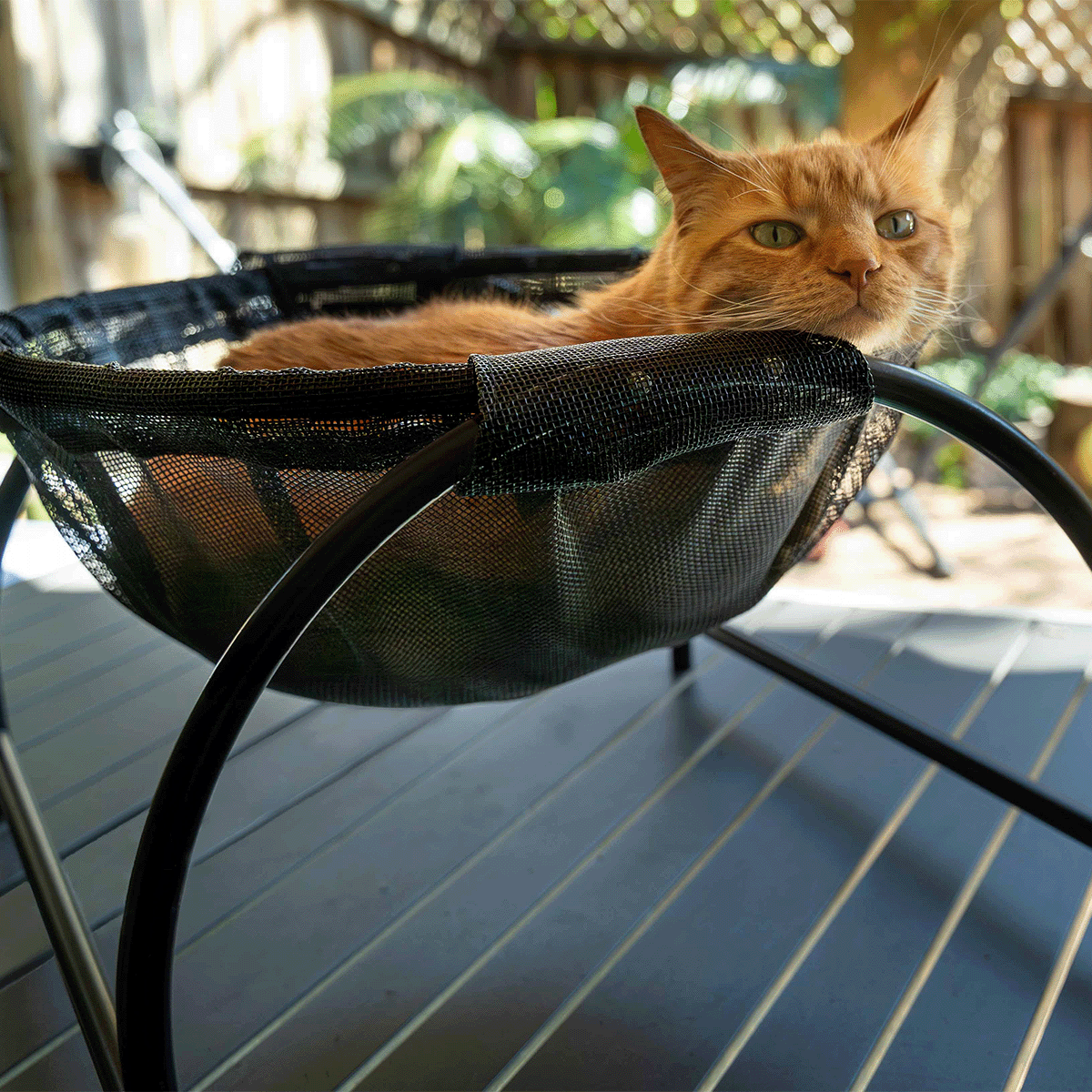 Catnets Skywalks Floor Hammock