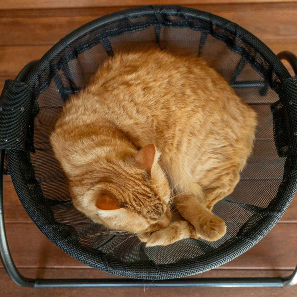 Catnets Skywalks Floor Hammock