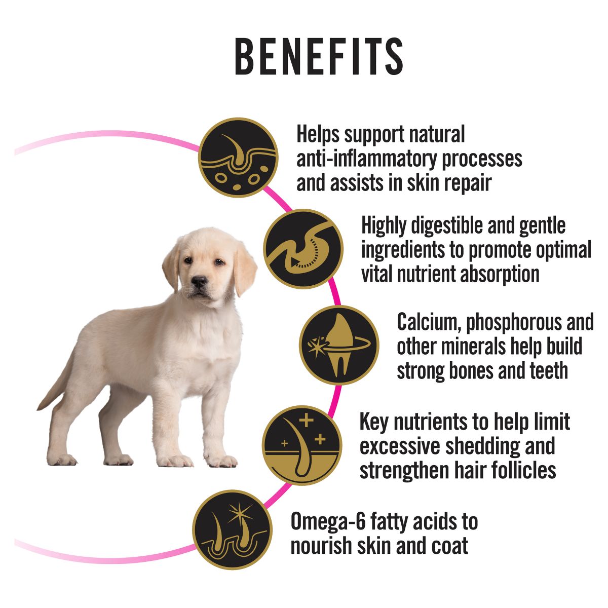 Pro Plan All Size Puppy Sensitive Skin & Stomach Formula Dry Dog Food