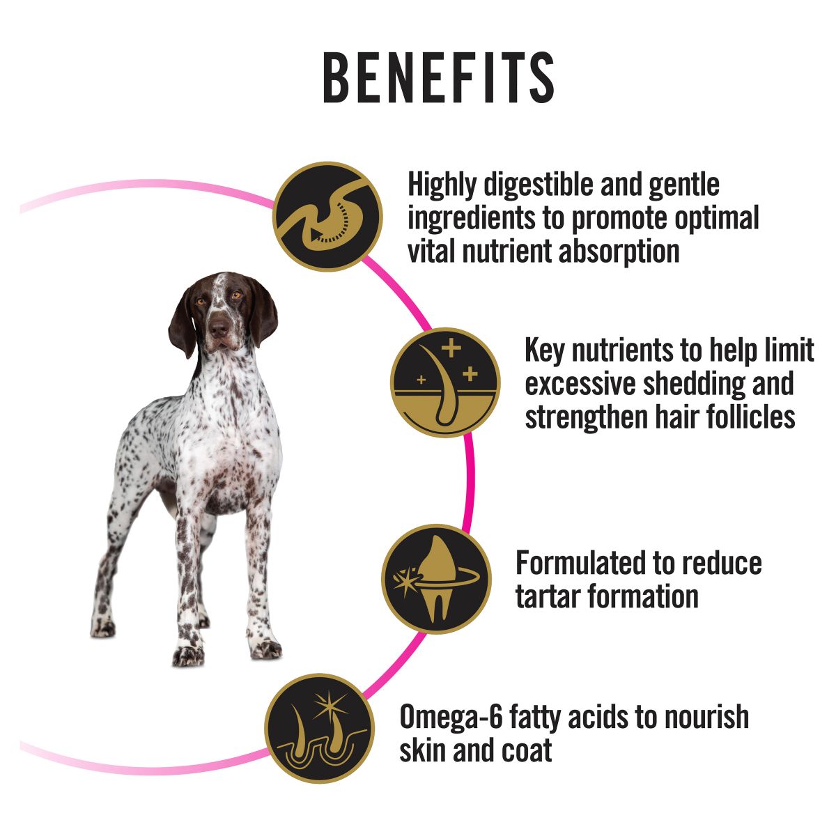 Pro Plan Sensitive Skin & Stomach Medium & Large Breed Adult Dry Dog Food