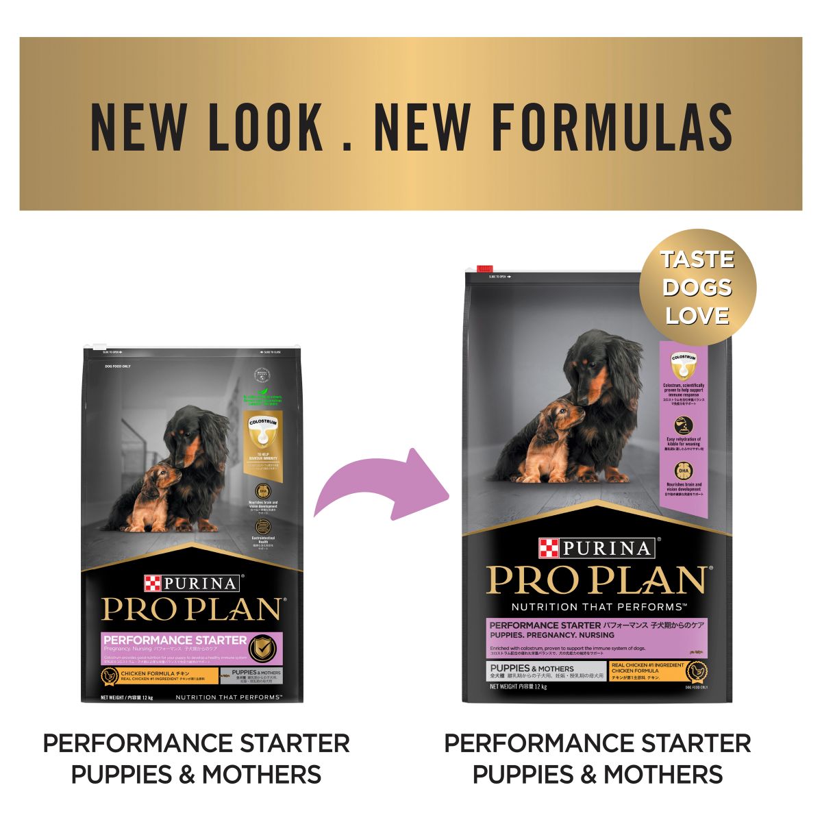Pro Plan All Size Performance Starter Chicken Formula Dry Dog Food