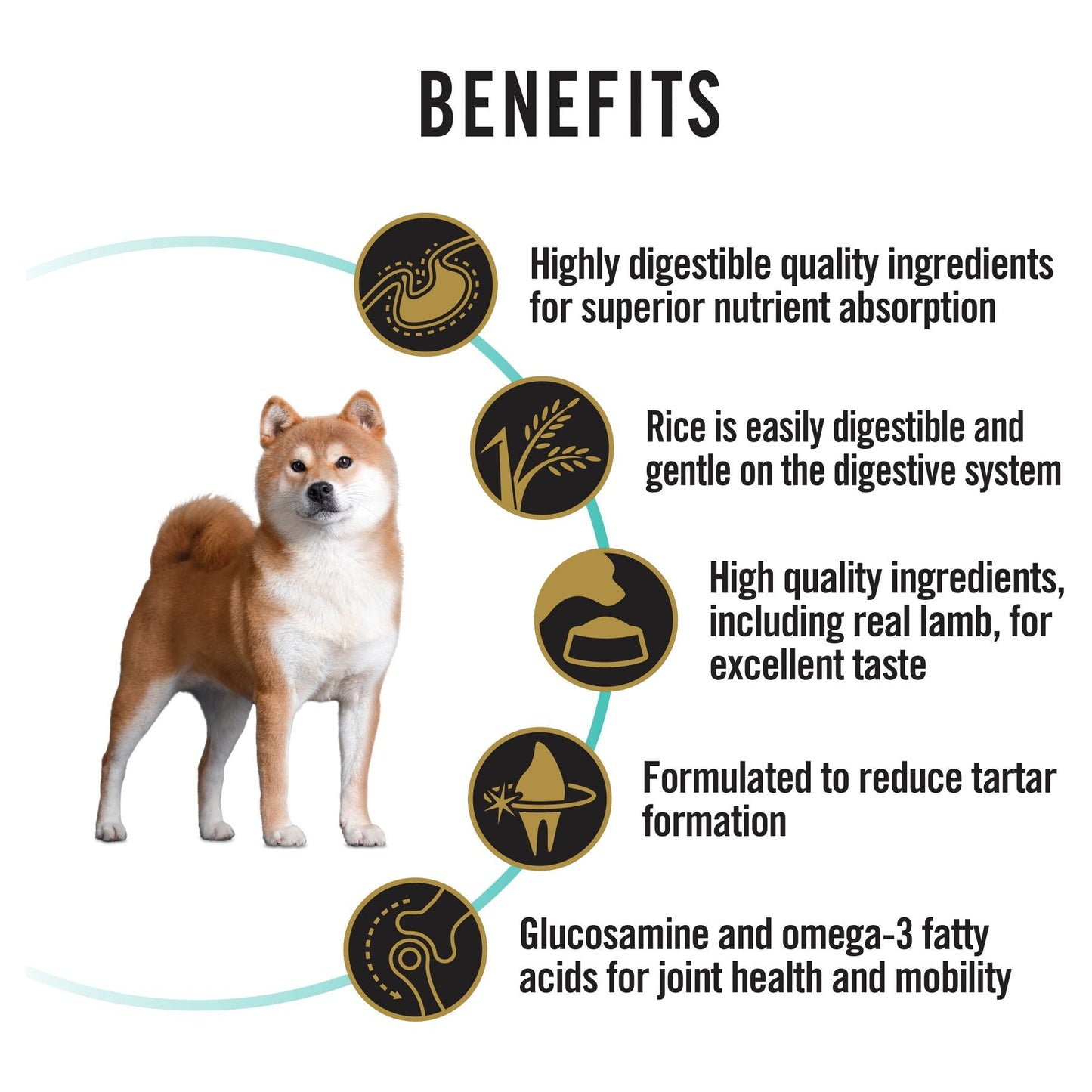 Pro Plan Sensitive Digestion All Size Adult Dry Dog Food
