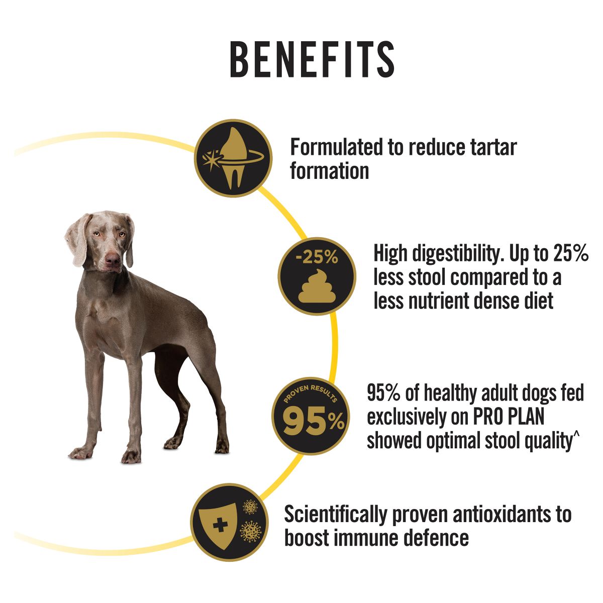 Pro Plan Medium/Large Breed Bright Mind Adult 7+ Chicken Formula Dry Dog Food