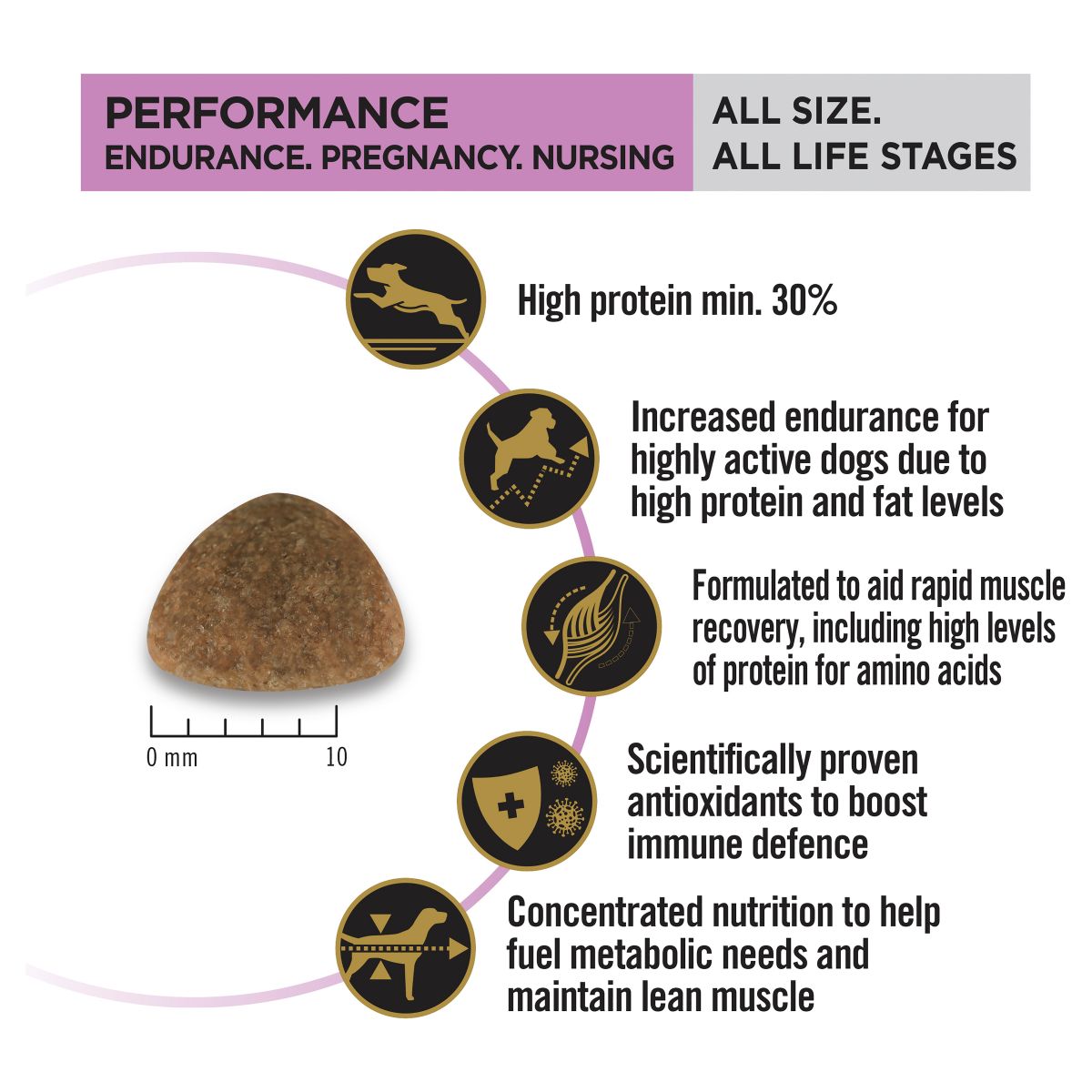 Pro Plan All Size Performance Chicken Formula Dry Dog Food