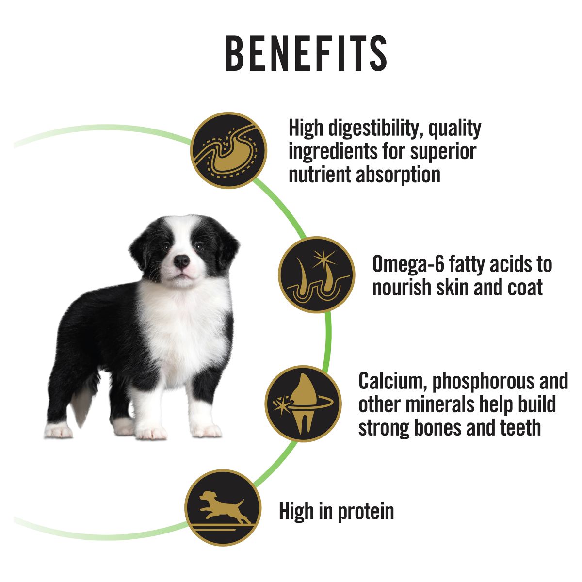 Pro Plan Medium Puppy Chicken Formula with Colostrum & Probiotic Dry Dog Food