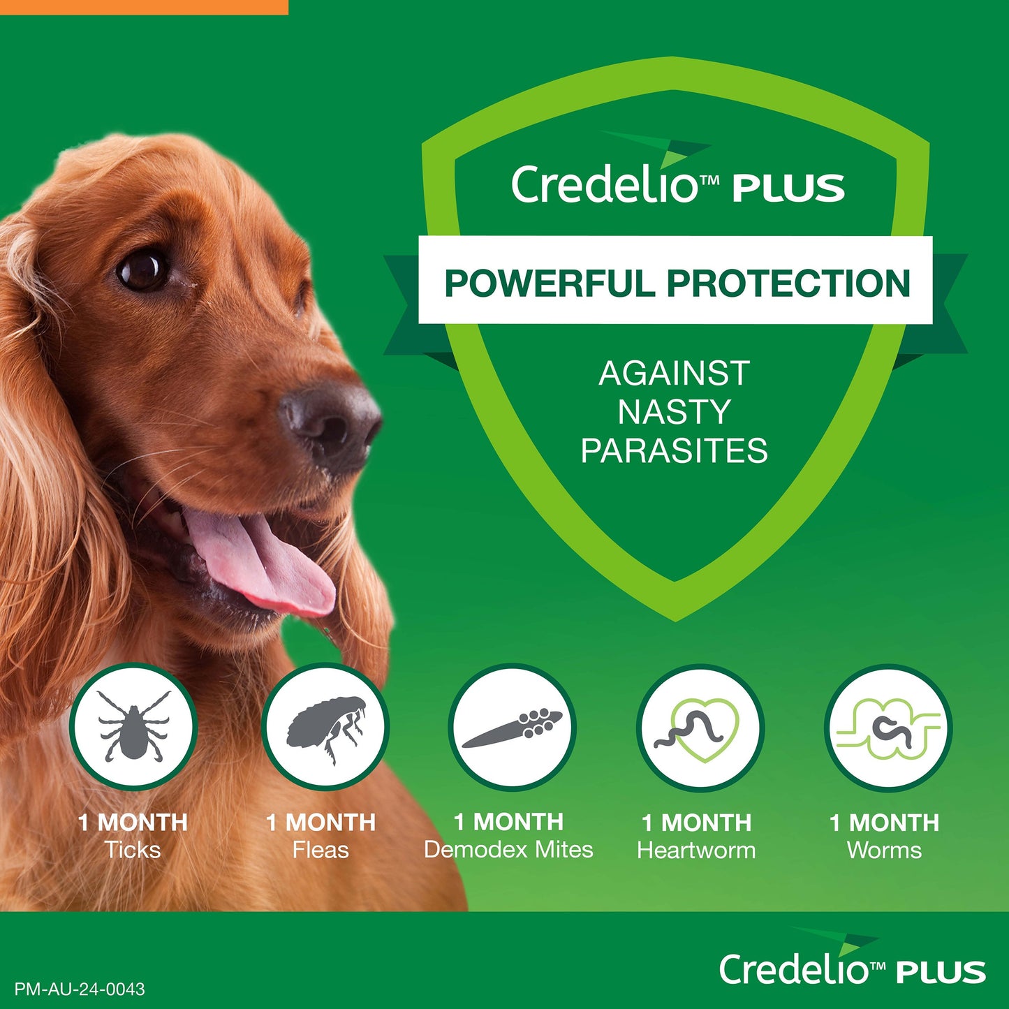 Credelio Plus Chewable Tablets For Medium Dogs 5.5-11kg