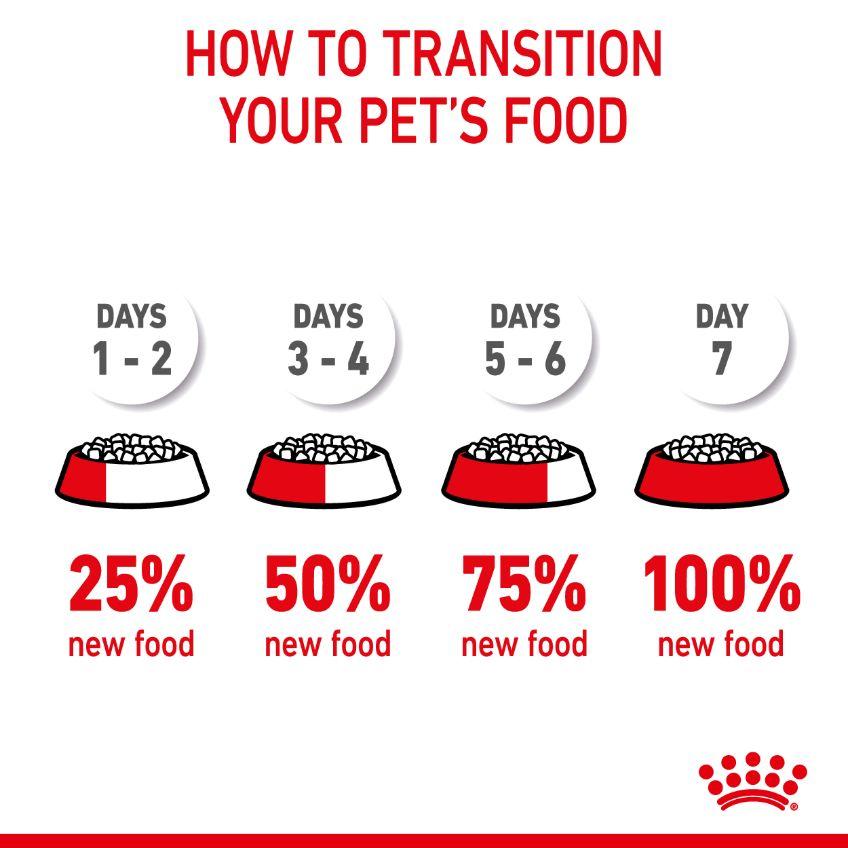 Royal Canin Appetite Control Adult Dry Cat Food
