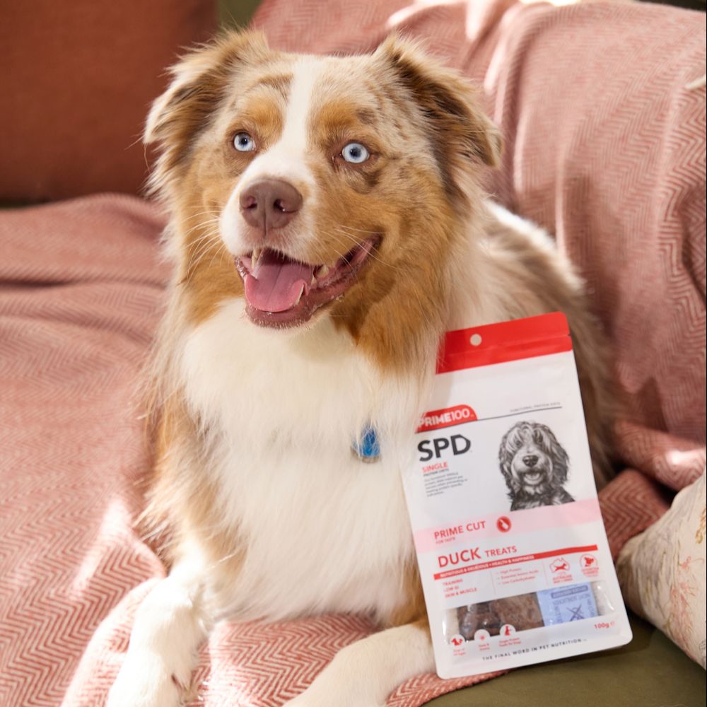Prime100 SPD Prime Cut Duck Dog Treats