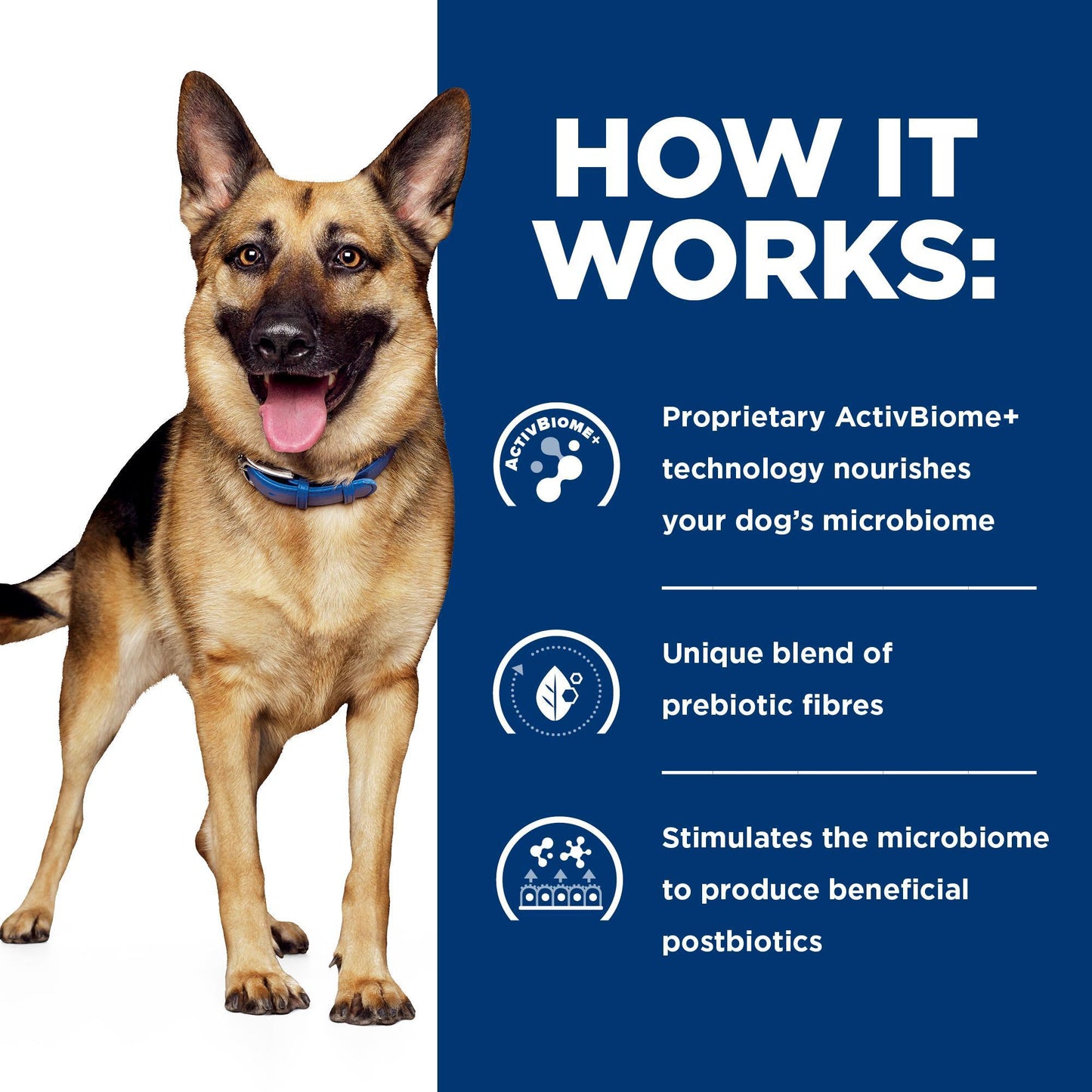 Hill's Prescription Diet Gastrointestinal Biome Digestive Fibre Care Wet Dog Food