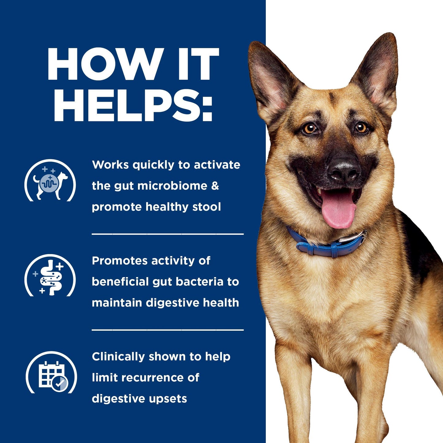 Hill's Prescription Diet Gastrointestinal Biome Digestive Fibre Care Wet Dog Food