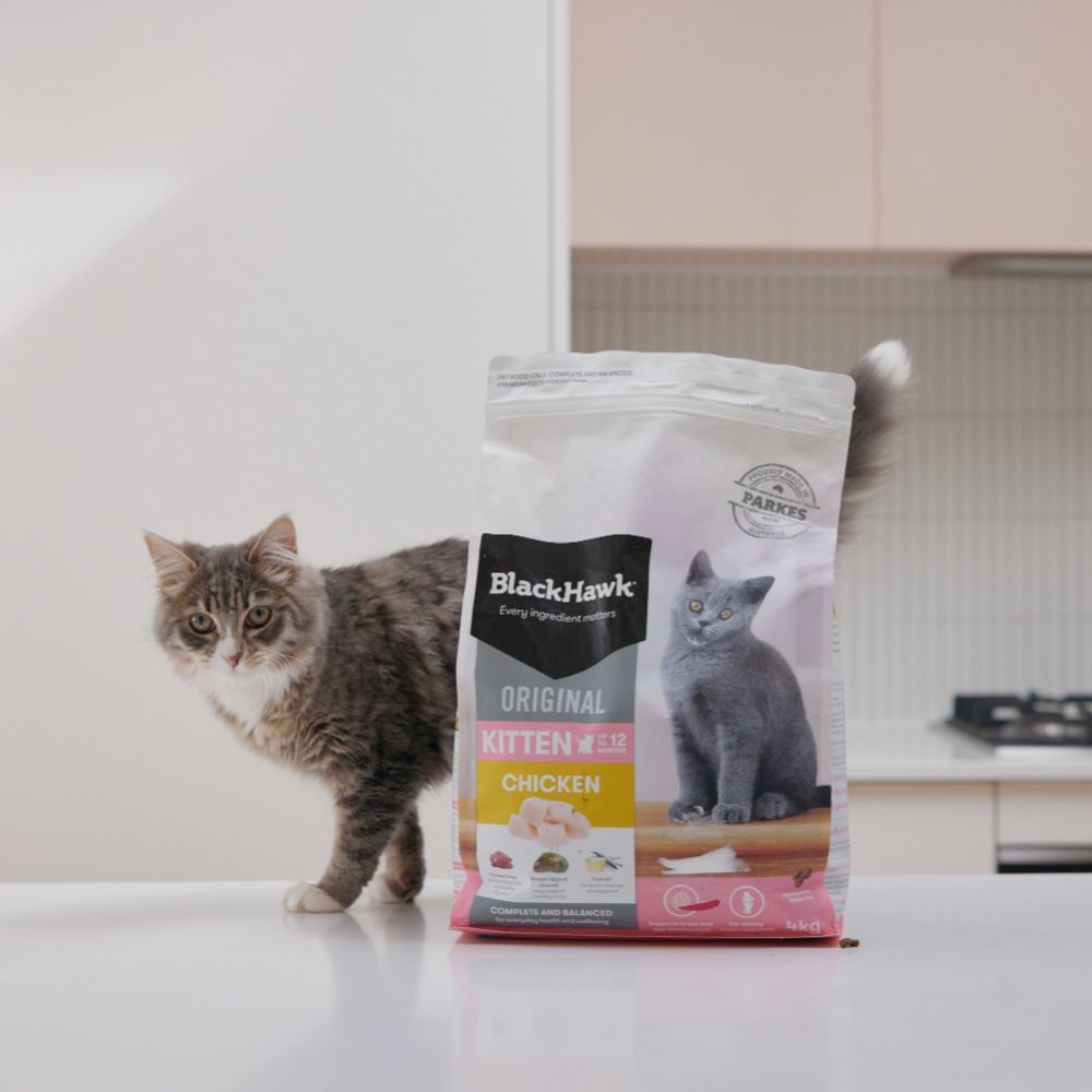 Black Hawk Original Chicken Dry Kitten Food